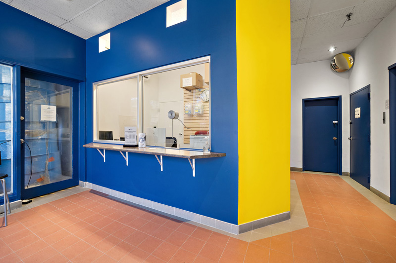 11-web-or-mls-dsc09128-2