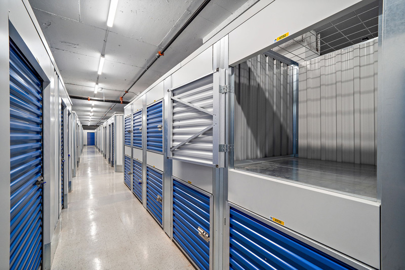 21-web-or-mls-dsc03433