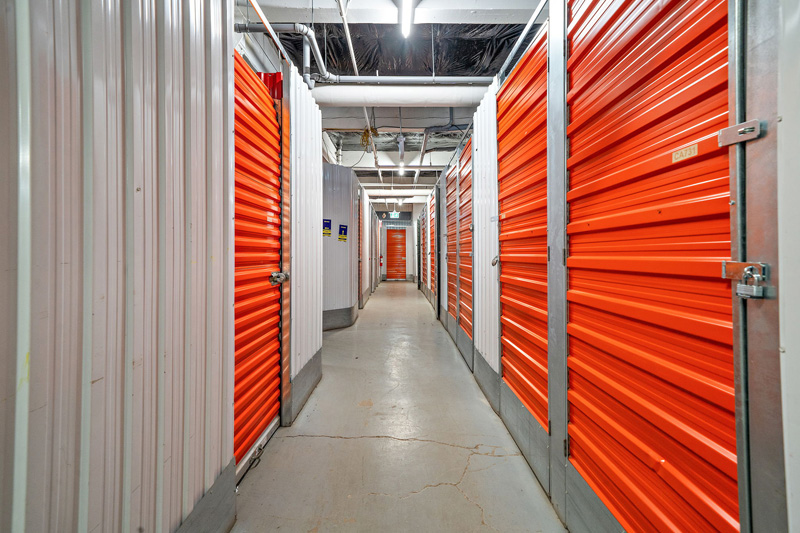 5-web-or-mls-dsc05872